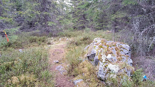 På Kanthaugen