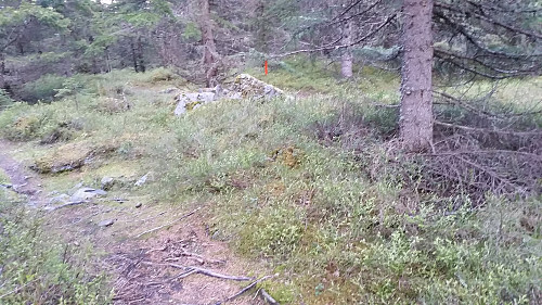 på Kanthaugen