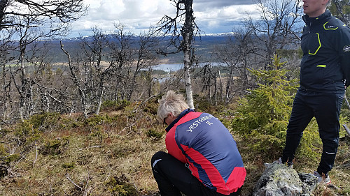 På den andre knausen, med steinrøys