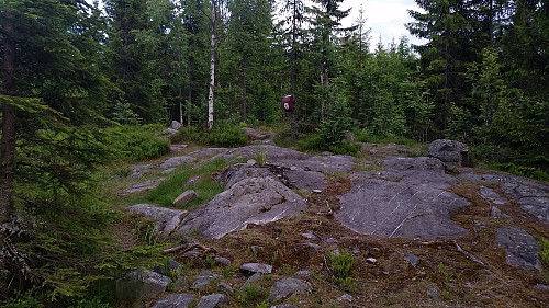 På Sauhaugen