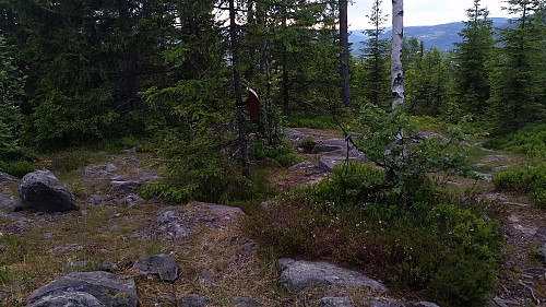 på Sauhaugen