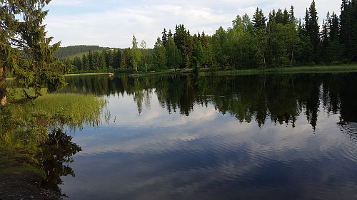 Ved Krokbua