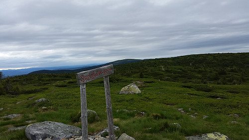 På Sjusjøfjellet