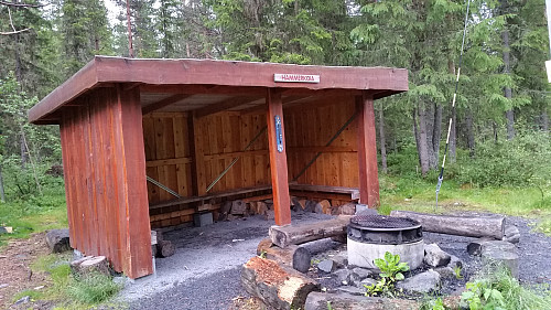 Hammerkoia