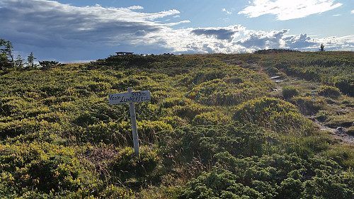 På Vesle Lunkefjell