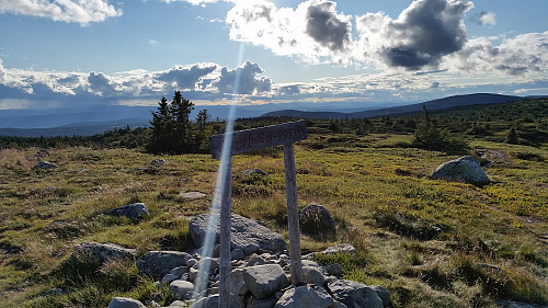 På Sjusjøfjellet