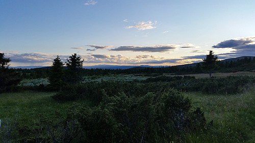 Solnedgang over Synnfjellet, Røssjøkollan, Ormtjernkampen og Dokkampen