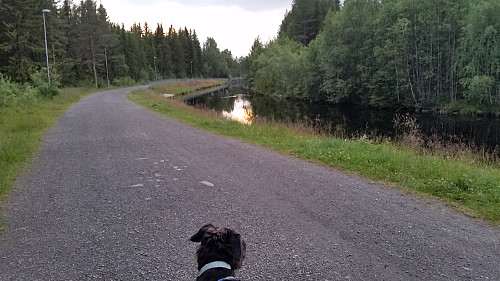 Fint lys ved Kanalen