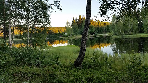 Ved Krokbua