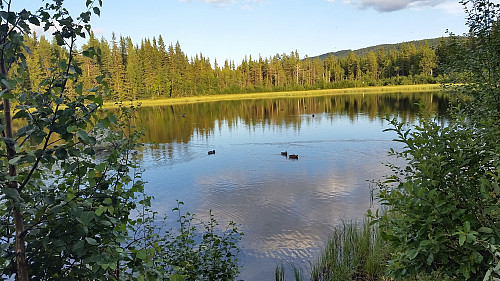 Idyll ved Kanalen