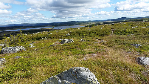 På Høgfjellet