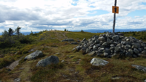 På Sjusjøfjellet