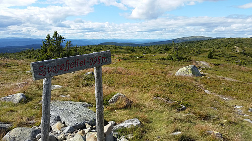 På Sjusjøfjellet
