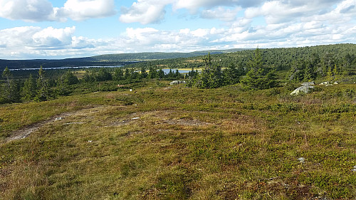Mot Rautjern