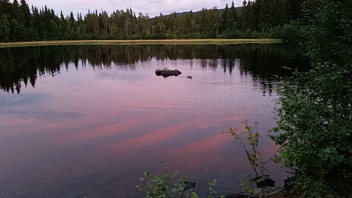 Ender i solnedgang
