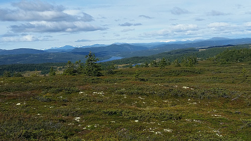 Klart og fint på fjellet i dag