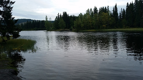 Ved Krokbua