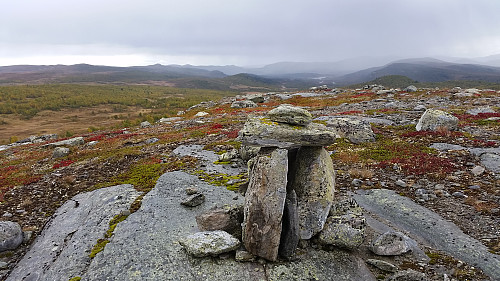 Artig varde på 1110 høgda