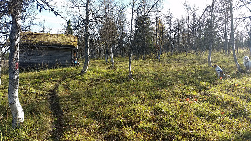 Framme ved Moslettbua