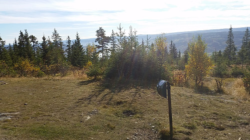 På Balbergkampen