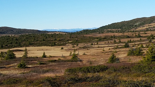 Utsikt mot Jotunheimen mellom Reinsfjellet og Hitfjellet