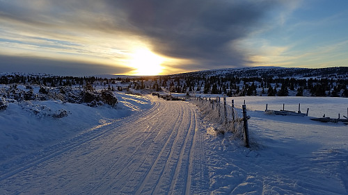 solnedgang