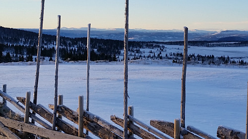Mot Skaget og Langsuene