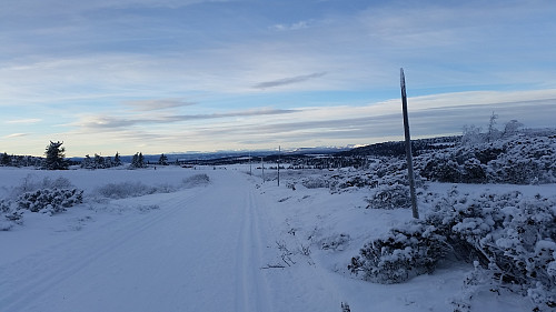 Fra løypa ved Sjøsætra, utsikt mot Gausdalsfjell