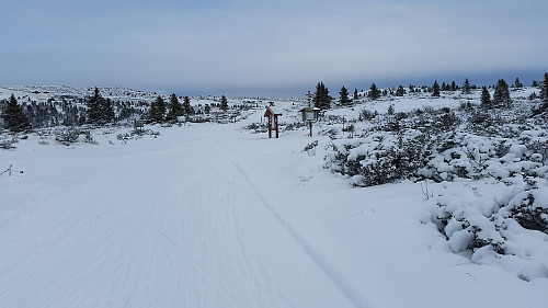 Ved Sjøsæterkrysset