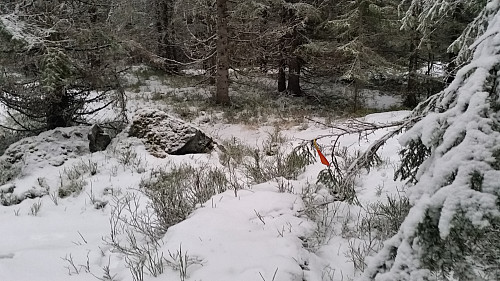 På Kanthaugen