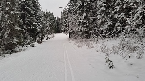 Grått i lysløypa