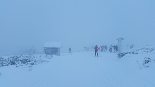 Skodde, men mye folk ved Reina