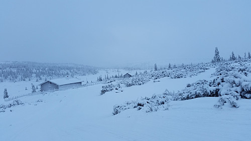 Ved Gjestebodåsen