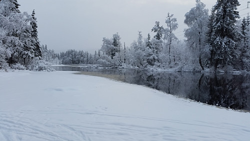 Ved Mesnaelva