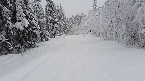 Ned til lysløypa