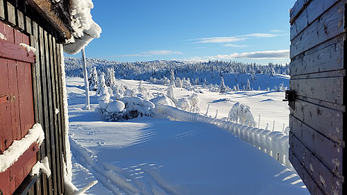 Nydelig utsikt fra gangen