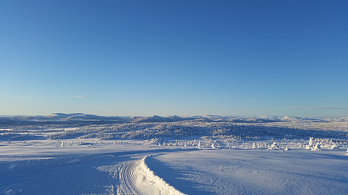 Utsikt på Hærfjellet