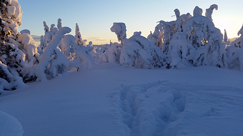 På Værskeitoppen