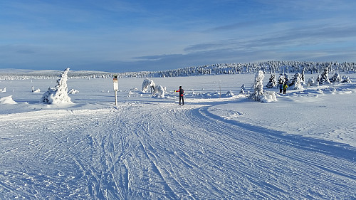 Utsikt fra krysset ved Kuåsen