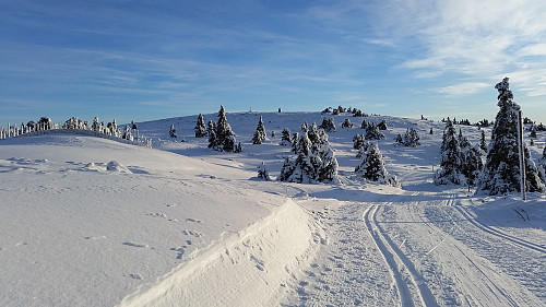 På Storåsen