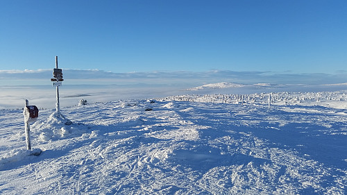 På Lunkefjell