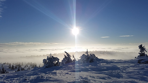 Sola over skodda