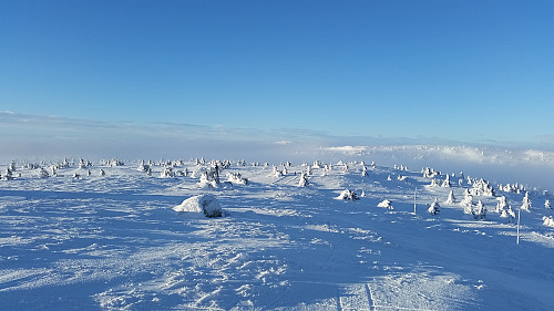 Fra Sjusjøfjellet mot Lunkefjell
