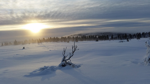 Tåka kom sigende over Grøtåshaugen