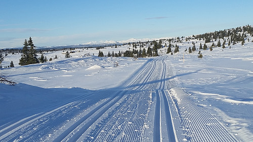 Utsikt mot Rondane