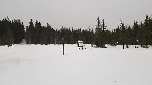 På Sagmyra
