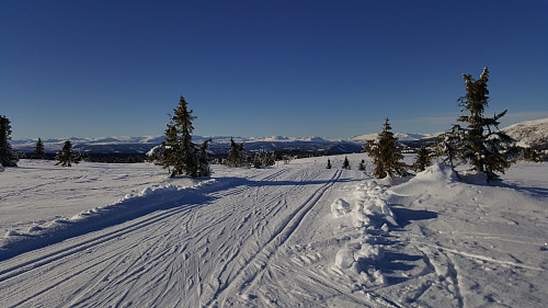 På Skardåsen