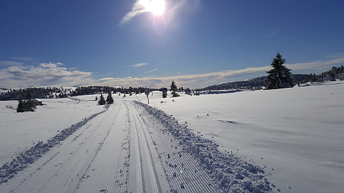 Ginahytta i sikte
