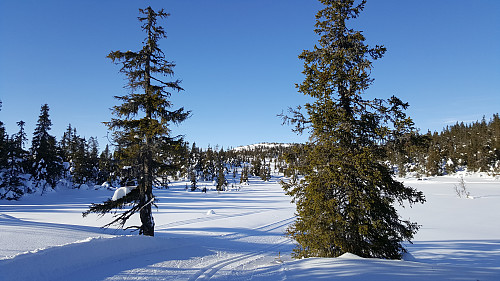 Skimter turmålet, Krokvassfjellet, rett fram