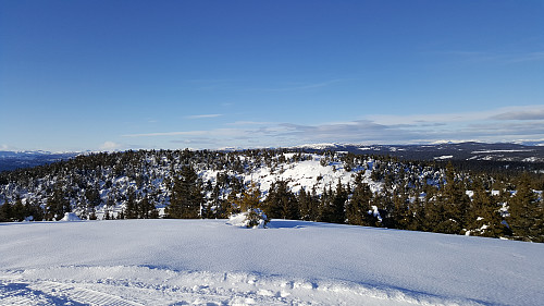 Mot Gausdalsfjell